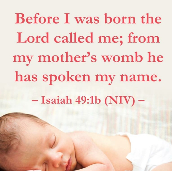 Meet your Posher, Lauren - Picture 5 of 5